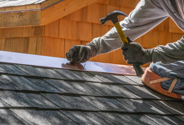 Best Roof Maintenance and Cleaning  in Camilla, GA