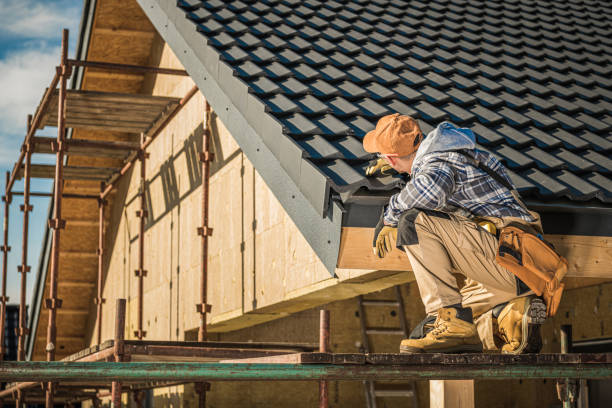 Best Solar Panel Roofing Installation  in Camilla, GA