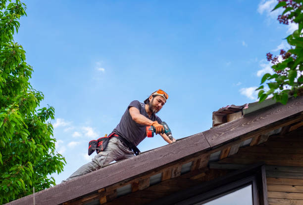 Best Storm Damage Roof Repair  in Camilla, GA